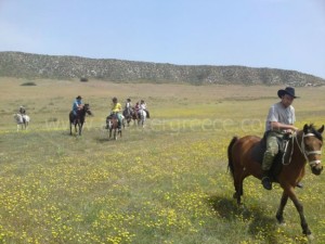 horse riding on Milos Cyclaes, Greece