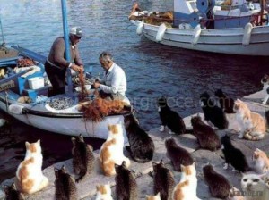 Sikinos activities, Cyclades, Greece