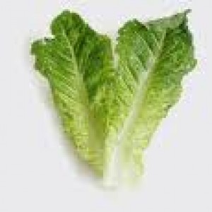 lettuce leaves