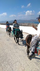 donkey rides on Paros island in Greece